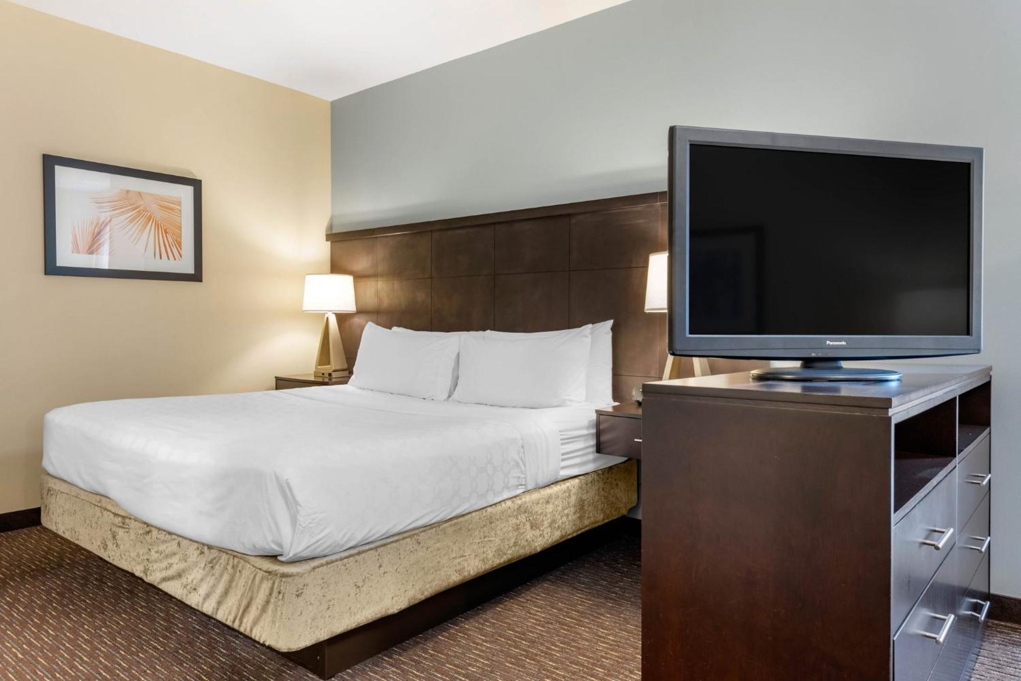 Staybridge Suites St. Petersburg Fl By Ihg Buitenkant foto
